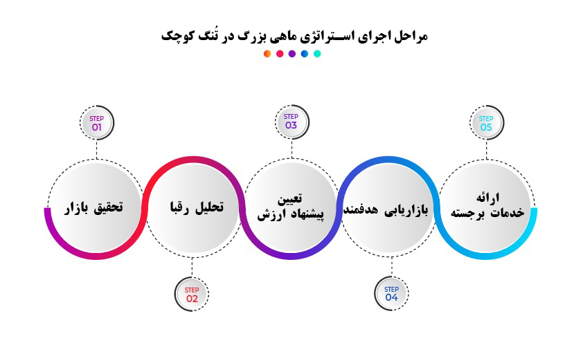 استراتژی ماهی بزرگ در تنگ کوچک